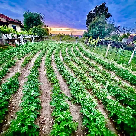 Holiday home Travellers Gaddafi Agios Gordios Agios Gordios (Corfu)